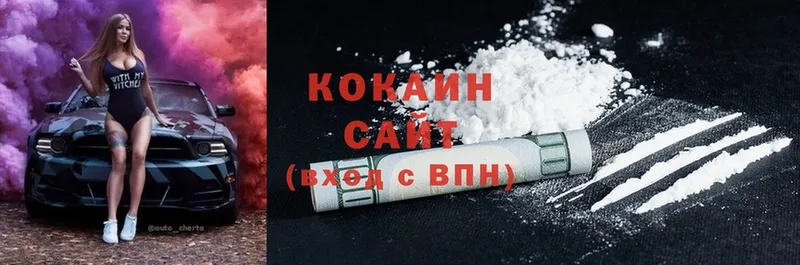 Cocaine Fish Scale  где можно купить   Александровск-Сахалинский 